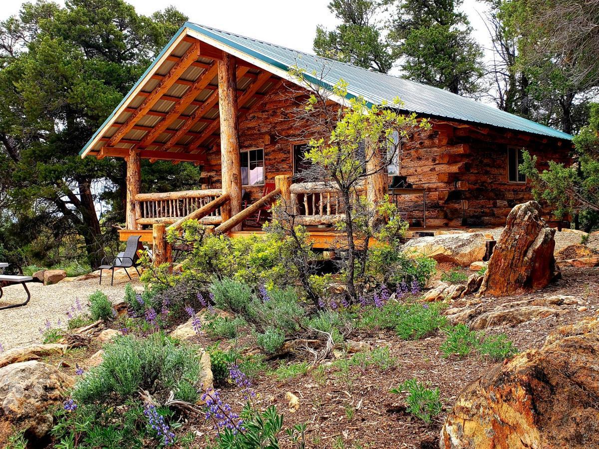 Abajo Haven Guest Cabins Hotel Blanding Bagian luar foto
